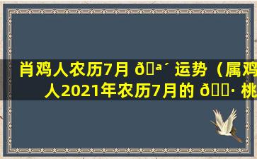 肖鸡人农历7月 🪴 运势（属鸡人2021年农历7月的 🕷 桃花运）